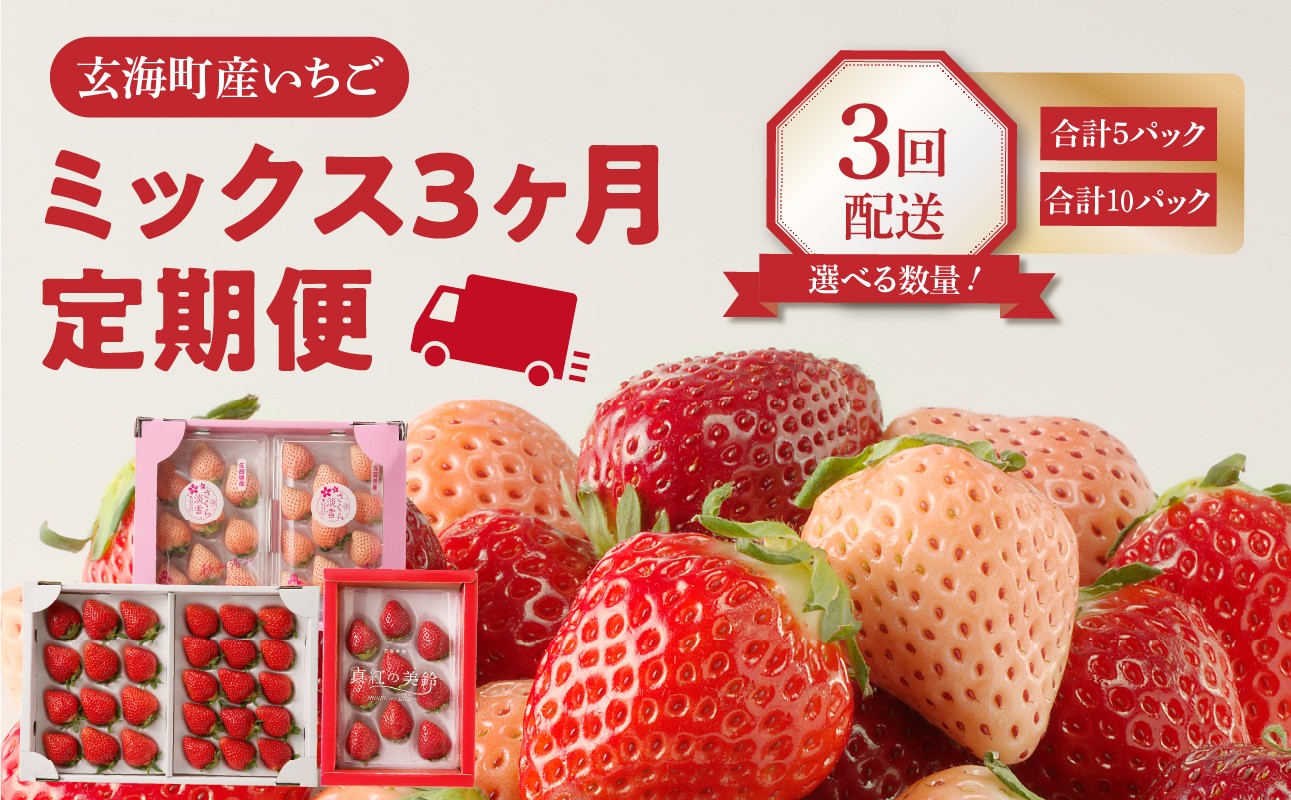 
                  ★予約受付★【内容量が選べる】杉山いちご農園 玄海町産いちご ミックス定期便 ／ 食べ比べ さがほのか 白いちご 淡雪 黒いちご 真紅の美鈴 苺 いちご 希少 品種 果物 くだもの フルーツ デザート
                