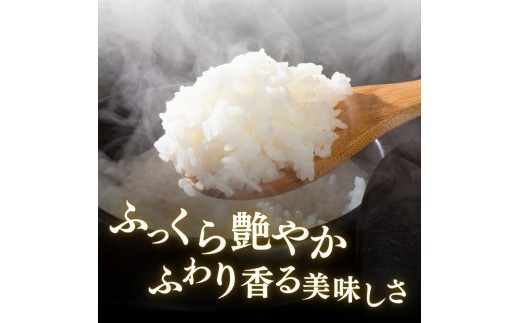 令和8年産 食味鑑定士厳選 新潟県産こしひかり 無洗米 10kg 上越市 米 コメ コシヒカリ ファインリョーコク