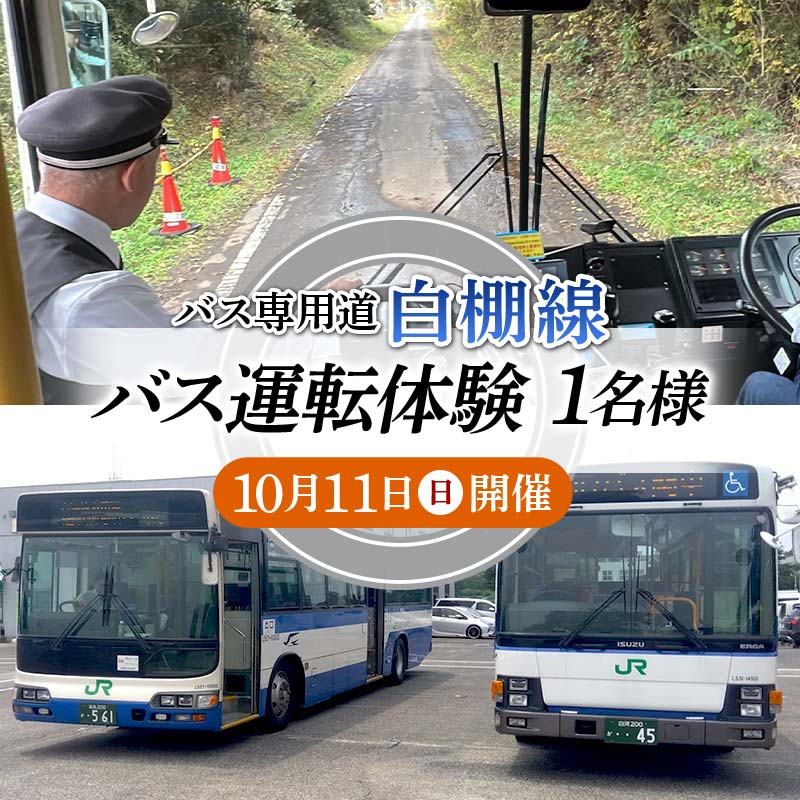 【10月11日開催】バス専用道「白棚線」 バス運転体験 1名様 運転 体験 イベント F24R-115