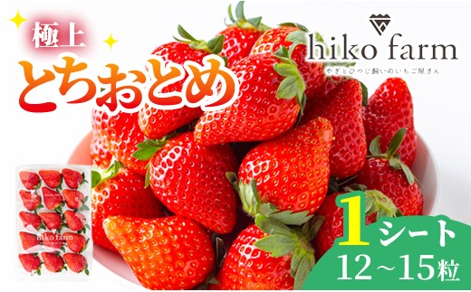 ＜先行予約受付中！2026年12月下旬以降順次発送＞ いちごのおくりもの（極上とちおとめ）１シート（12～15粒） いちご イチゴ 苺 とちおとめ フルーツ 果物 くだもの デザート 期間限定 先行予約 【hiko farm（ヒコファーム）】【ho1569】