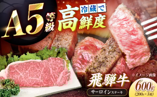 【年内発送】【チルド（冷蔵）発送！】 牛肉 「飛騨牛」 A5等級 サーロインステーキ 200g×3枚 / 肉 お肉 にく牛肉 飛騨牛 和牛 国産和牛 ブランド牛 お取り寄せ 価格 ステーキ 焼肉 おすすめ 人気 贈答用 ギフト プレゼント 高級 焼肉 鉄板焼き 網焼き BBQ バーベキュー / 恵那市 / 東美濃農業協同組合 [AUFX012]