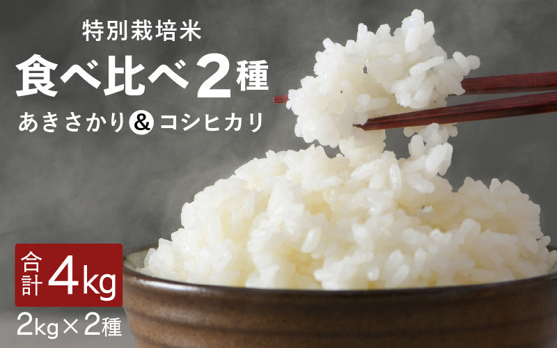 
            【先行予約】【令和7年産・新米】福井県坂井町産 特別栽培米2種食べ比べセット あきさかり・コシヒカリ各2kg（計4kg）【2025年9月下旬以降順次発送予定】【お米 こめ コメ 米 食べ比べ こしひかり おいしい ごはん ご飯 ブランド米 ふるさと納税米 産地直送】 [A-4838]
          