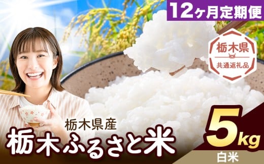 【12ヶ月定期便】米 栃木 ふるさと米 白米 5kg《申込月の翌月から出荷開始》栃木県 野木町 米 白米 精米 国産 お米 おこめ お弁当 おにぎり【栃木県共通返礼品】