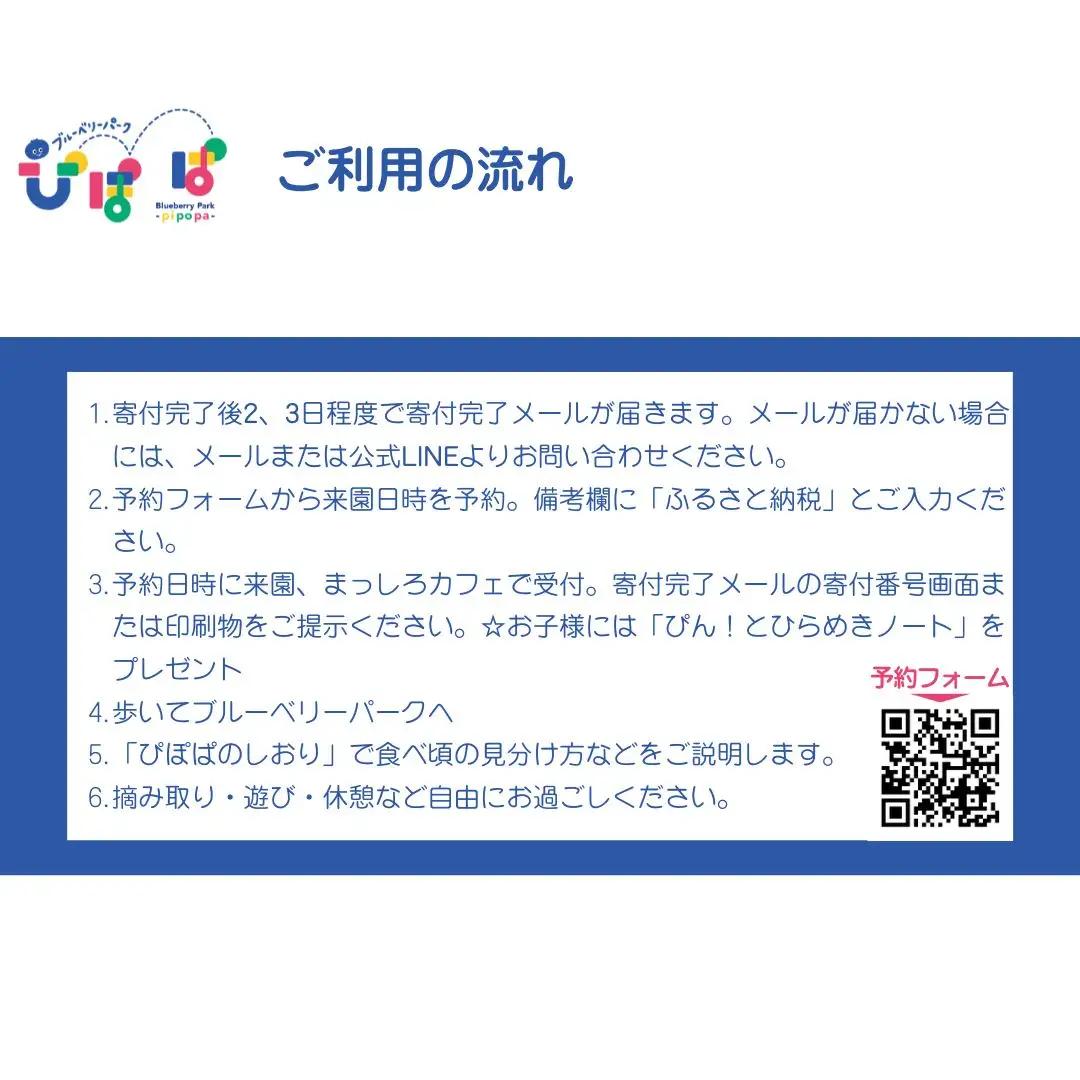 ブルーベリー狩り ペアチケット 時間無制限 ブルーベリーパーク ぴぽぱ 