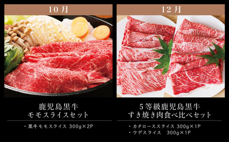 【JA食肉かごしま】鹿児島黒牛定期便（全6回） 和牛日本一の「鹿児島黒牛」お肉 ステーキ すき焼き しゃぶしゃぶ グルメ お取り寄せ 国産 黒毛和牛 牛肉 定期便