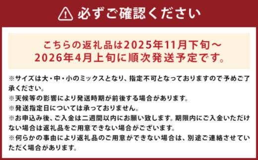 紅はるか 約3.5kg （5～25個）