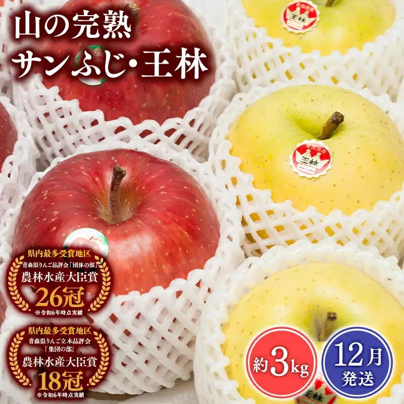 りんご 山の完熟サンふじ・王林 合計約3kg 【hi-0010-010】