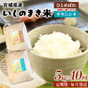 【ふるさと納税】令和6年産 米 ササニシキorひとめぼれ 定期便 5kg × 10回 お米 精米 白米 環境保全米 ご飯 こめ コメ