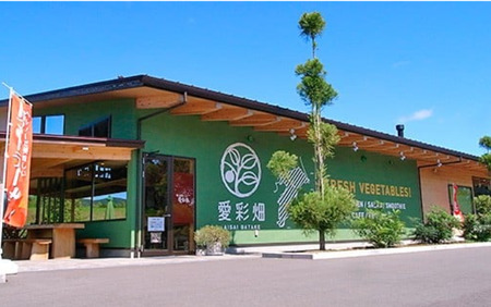 あいさいトマトカレー 10袋 | トマトカレー カレー かれー とまと トマト 完熟 スパイス あいさいばたけ 愛彩畑 君津市 きみつ 千葉県