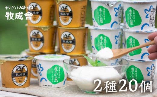 
                  飛騨の牛乳屋こだわり 食べるタイプのヨーグルト２種類盛沢山20個セット 乳製品 ヨーグルト 飛騨市
                