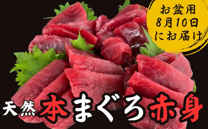 
            【お盆用】本まぐろ赤身2柵（8月10にお届け）2～3人前　M005-003
          
