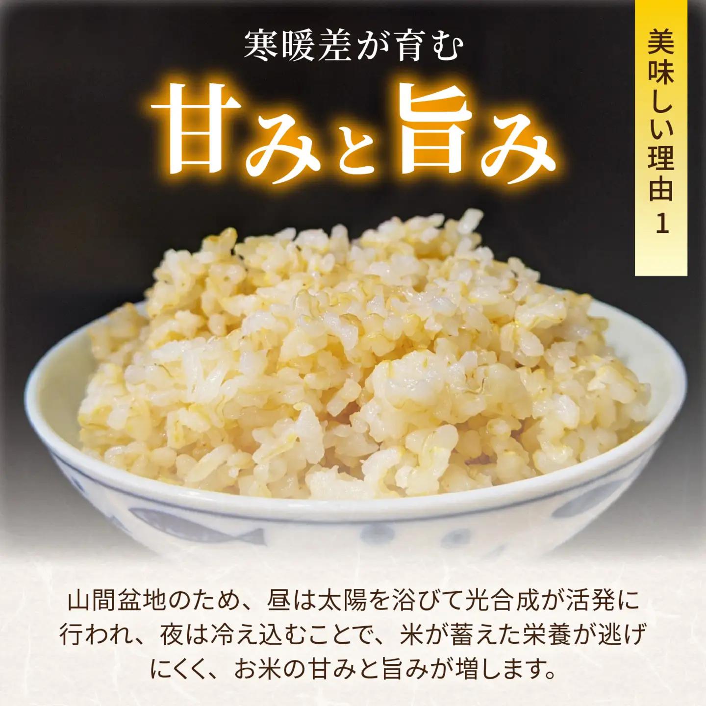 令和8年産 新米 こしひかり 10kg 12回定期便 玄米