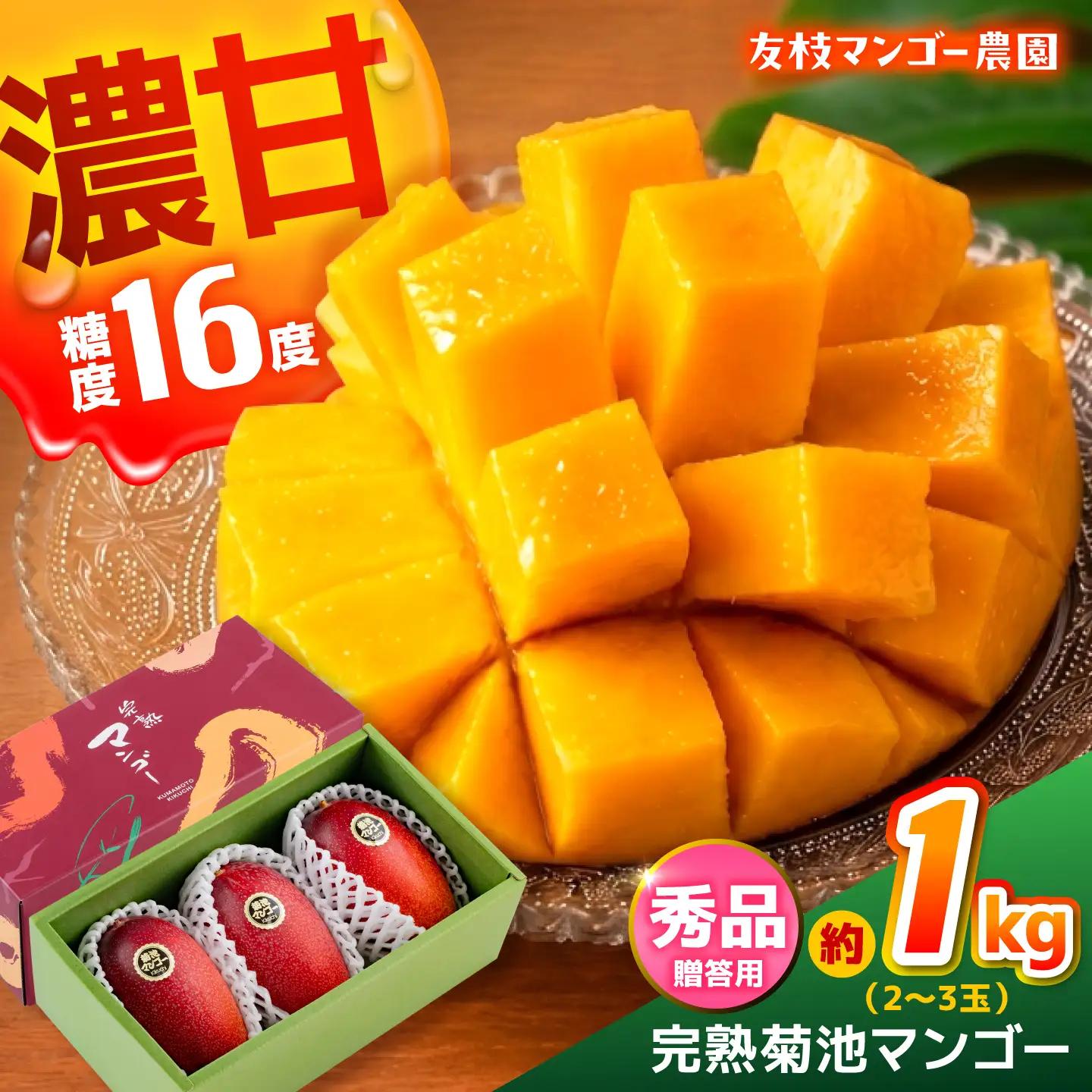 【2027年6月上旬から順次発送】菊池マンゴー約1kg マンゴー AYDF003