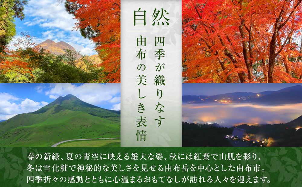 梨サイダー 250ml×12本入り