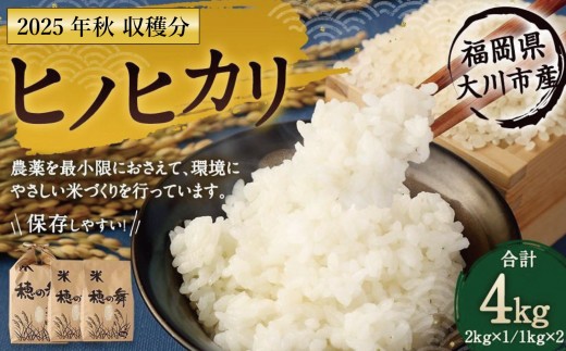 
                  2025年秋収穫分 福岡県大川市産ヒノヒカリ 4kg | お米 米 こめ ひのひかり 4キロ 令和7年産 2025年産 ご飯 ごはん 福岡県産
                