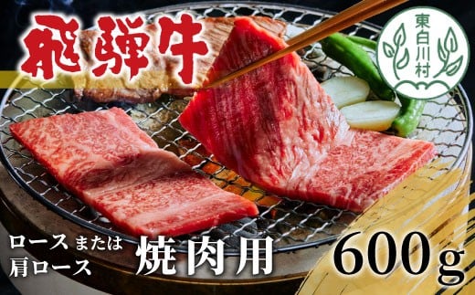 【3月発送】 飛騨牛 ロースまたは肩ロース 焼肉用 600g 牛肉 和牛 肉 焼肉 BBQ ロース カタロース 肩ロース 東白川村 岐阜 贅沢 霜降り 養老ミート 20000円 二万円