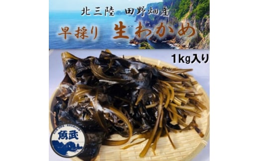 ＜期間限定＞早採り生わかめ 1kg【1482533】