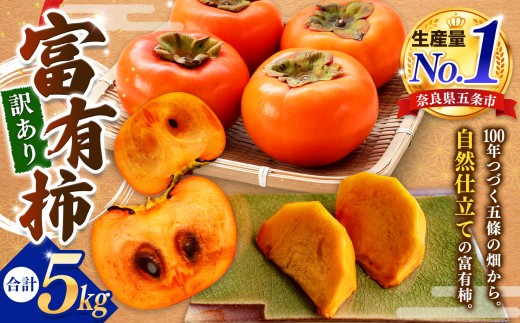 〈訳あり〉 富有柿 約 5kg (Mサイズ以上混載）  |  先行予約 大人気 人気 富有 柿 かき フルーツ 果物 奈良県 五條市 萩本農園 ギフト おすすめ 11月 発送 カキ 秋の味覚 旬 甘い 大容量 農家直送 産地直送 グルメ お取り寄せ 送料無料  食物繊維 豊富 美容 健康 | 奈良県 五條市