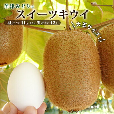 【ふるさと納税】美津みどり　スイーツキウイ [ キウイフルーツ ジューシー 甘い 大きい 果物 フルーツ 産地直送 ] 果物詰合せ　お届け：2026年12月1日～2027年1月10日