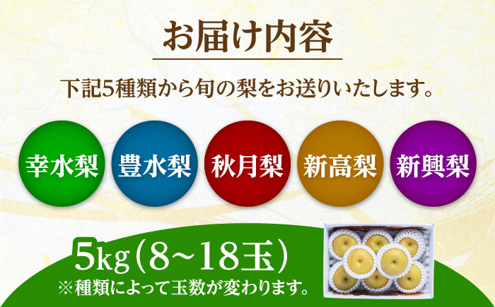 【先行予約・25年7月以降発送】 旬の日田梨お届け便 約5kg(幸水、豊水、秋月、新高、新興) 　日田市 / 南国フルーツ株式会社 なし 梨 果物 フルーツ [ARET008]
