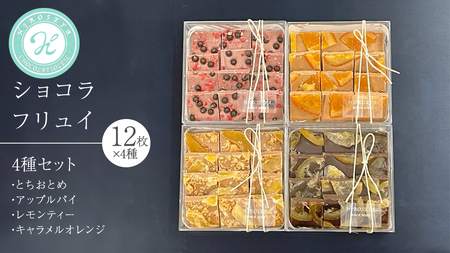 ショコラ フリュイ 4種セット チョコレート スイーツ ドライフルーツ 手土産 お取り寄せ