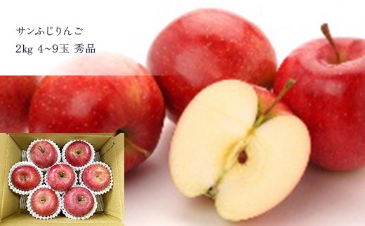 【定期便5回】山形県人気Fruits5種 FSY-2728