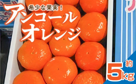 M02-0106_【先行予約】希少な果実！「アンコールオレンジ」 約5kg