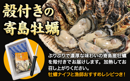 【先行予約】牡蠣 殻付き 牡蠣 Lナイフ レシピセット 加熱用 約4kg 寄島町漁業協同組合《2025年2月上旬-4月中旬頃出荷》岡山県 浅口市 海鮮 かき 牡蠣 岡山県寄島産 カキ 鍋 牡蠣鍋 バー