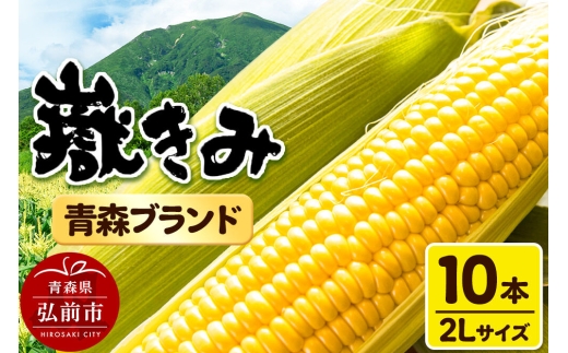【26年8月中旬～クール便発送】とうもろこし【先行受付】嶽きみ（だけきみ）2Lサイズ 10本 青森県弘前市産 岩木山麓嶽高原産 [先行予約 おいしい コーン だけきみ とうもろこし ひろさき ブランド もろこし 弘前 青森 美味 野菜 嶽きみ]