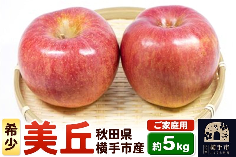 
            希少品種！追熟でおいしさ倍増！横手市産りんご(美丘) ご家庭用 約5kg
          