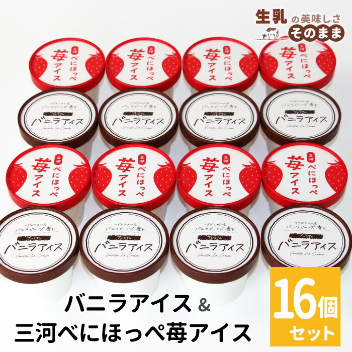 【ふるさと納税】《7月末で受付終了》〈1週間以内発送〉バニラアイス＆紅ほっぺいちごアイス 16個入り 80ml アイスクリーム 詰め合わせ 即日発送 アイス ギフト 牛乳 ミルク スイーツ 大容量 いちご イチゴ 紅ほっぺ いちごミルク 長野県 根羽村