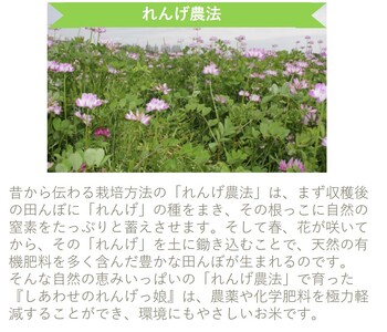 しあわせのれんげっ娘 (精米) 10kg×2 | お米 おこめ 米 コメ 白米 ご飯 ごはん おにぎり お弁当 [0060]