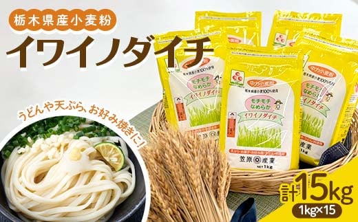 
            栃木県産小麦粉 イワイノダイチ（1kg×15個） F7Z-1328																															
          