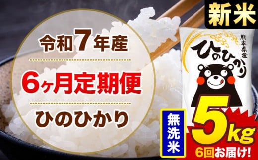 【6ヶ月定期便】新米 令和7年産 無洗米 5kg 米 ひのひかり《お申込み翌月から出荷》熊本県 菊池市 国産 熊本県産 白米 精米 無洗米 送料無料 ヒノヒカリ こめ お米