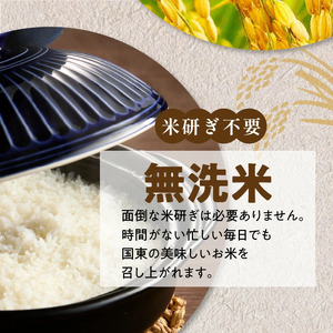 便利なチャック付き! 国東産ひとめぼれ 令和7年産 無洗米 10kg(5kg×2袋)_2521R-2