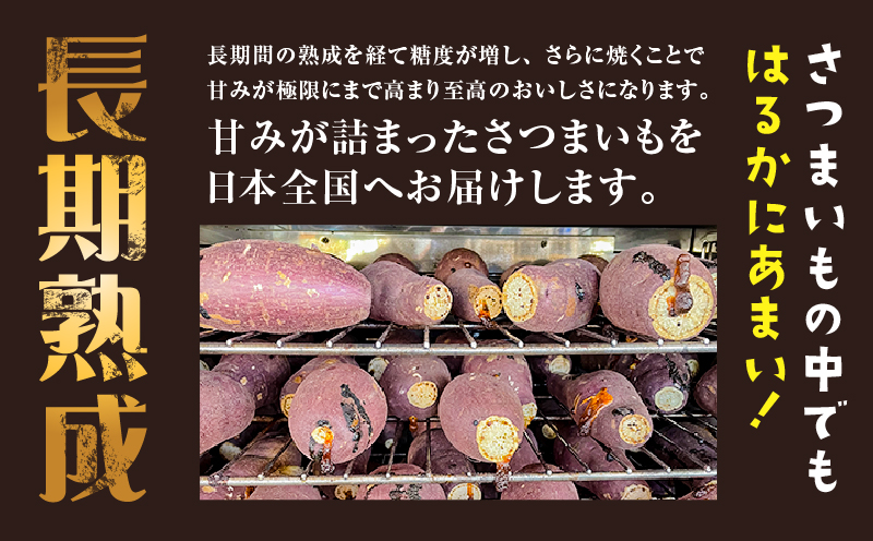 【2025年先行予約】畑の金貨　生芋　紅はるか4kg　K181-006