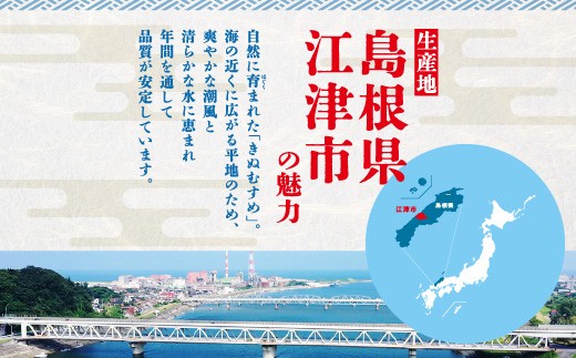 【先行予約】【R8年度産】島根県江津市 きぬむすめ 玄米 10kg MG-6｜ 島根県江津市産 国産 米 玄米 きぬむすめ ごはん ご飯 弁当 おにぎり 10キロ