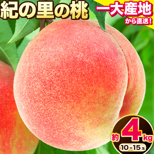桃 もも 和歌山県産 約4kg 《2027年6月中旬-8月中旬頃出荷》 紀の里の桃 送料無料 10-15玉入り 旬の桃を厳選 あかつき モモ 果物 フルーツ お取り寄せ 予約 和歌山