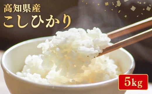 【令和7年産】 米 こしひかり 5kg お米 白米 精米 新米 コシヒカリ 産地直送 ごはん ご飯 高知県産 弁当 おにぎり 料理 高知県安芸市