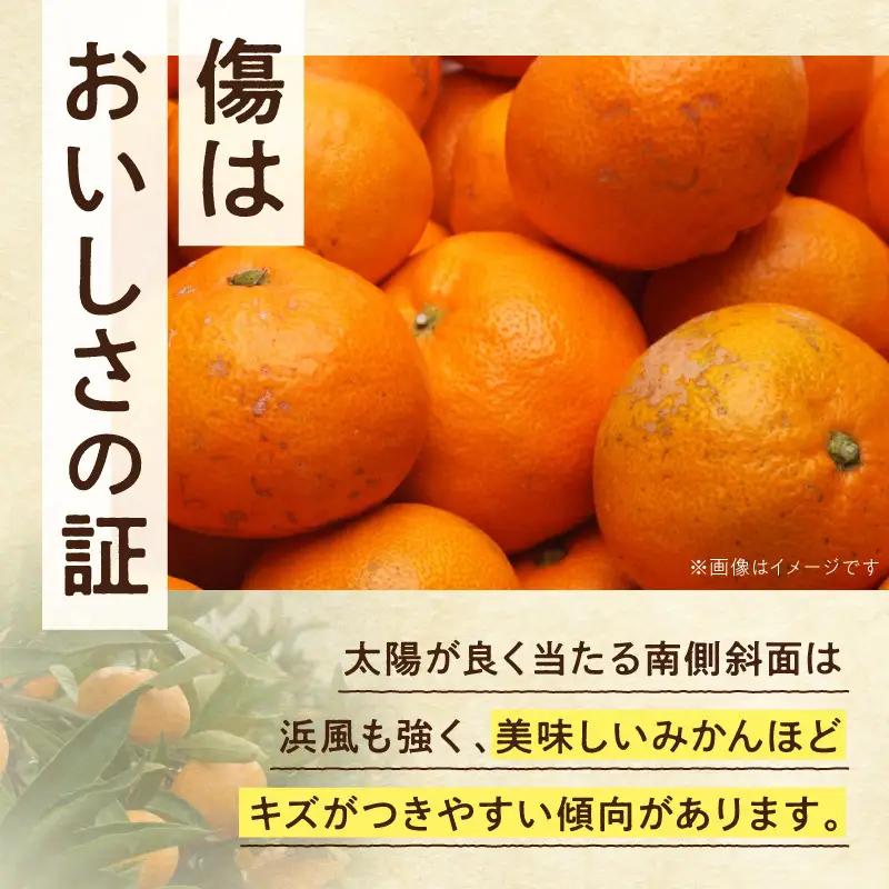 《2026年11月上旬～2027年1月上旬頃に順次発送》【2026年先行予約】家庭用 小玉な有田みかん約5kg+250g（傷み補償分）【わけあり・訳あり】【光センサー選果】_ZH7109