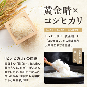 【定期便 3回】お米 ヒノヒカリ 精米 5キロ | ヒノヒカリ 精米5キロ 自然栽培 化学肥料控えめ 安心・安全 国産米 おいしいお米 減農薬米 大分県産 九州産 中津市
