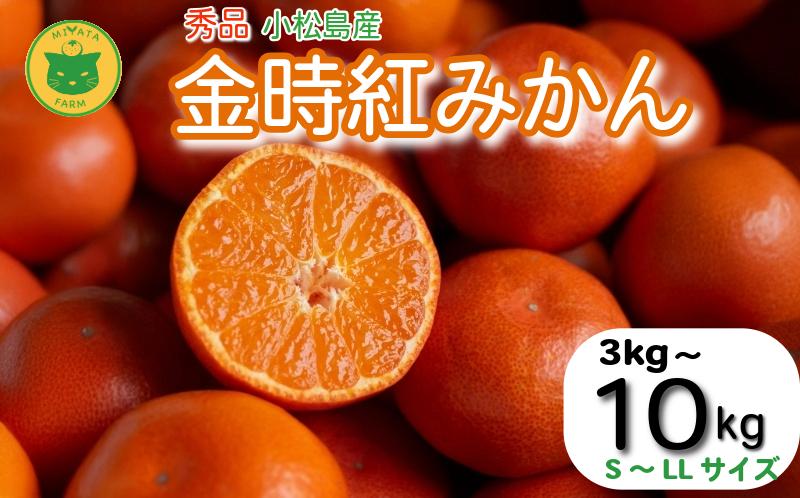
                  【2026年12月順次発送】　金時紅みかん 3kg～10kg みかん 甘い 紅 みかん 柑橘 蜜柑 ミカン ジュース 果汁 小松島市  フルーツ 果実
                