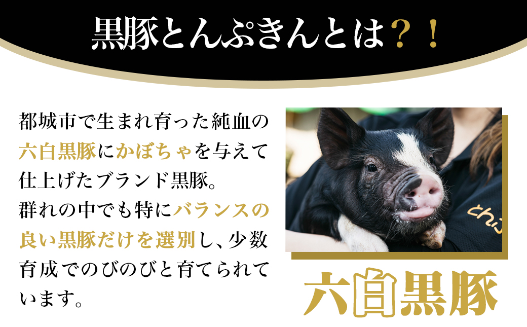 黒豚「とんぷきん」こま切れ3kg_MJ-5904