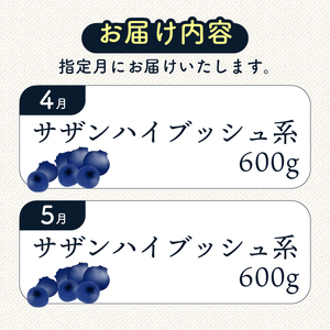 【全2回定期便】完熟生ブルーベリー （サザンハイブッシュ系）各600g（100ｇ×6パック） | フルーツ 果物 ベリー