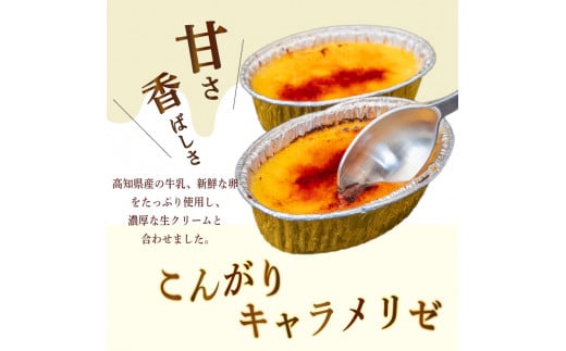 濃厚焦がしクリームブリュレ 15個 冷凍 アイス プリン カタラーナ スイーツ デザート 卵 お菓子 洋菓子 焼き菓子 氷菓子 ギフト おやつ キャラメル ミルク個 牛乳 生クリーム 包装 贈答 飯テ