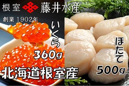【北海道根室産】いくら醤油漬け120g×3P、お刺身帆立貝柱250g C-42073