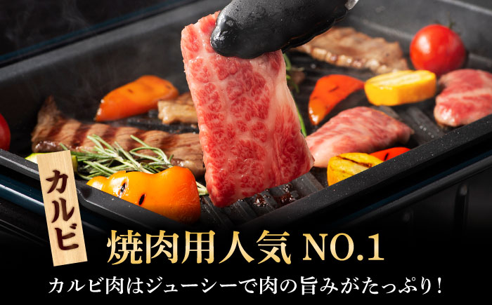 くまもと黒毛和牛「藤彩牛」焼肉用3種セット 計約900g 3901【株式会社フジチク】 [BHAD124]