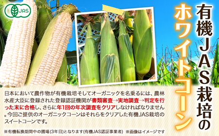 北海道産 オーガニック ホワイトコーン 10本 2026年予約 伊場ファーム