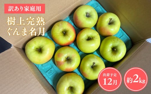 
                  ≪令和8年産先行受付≫12月発送 家庭用 樹上完熟ぐんま名月約2㎏ 青森県平川市産
                