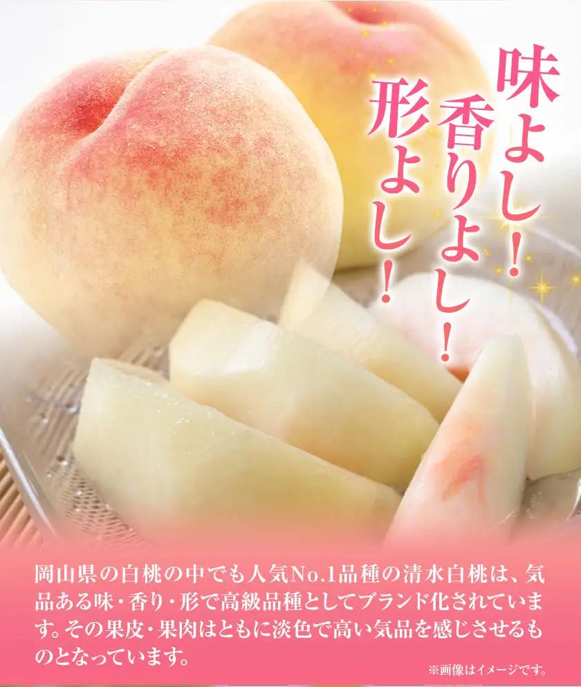 清水白桃 約1.3kg　桃 もも